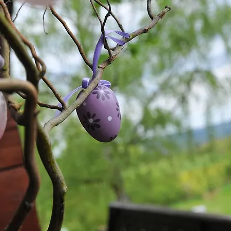 Au Nid D'houyet Nyaraló *