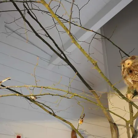 Nyaraló Au Nid D'houyet *